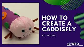 Create a Caddisfly At Home [upl. by Enneira]