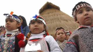 Beatriz Pichi Malen  Canción para dormir a un niño mapuche Live [upl. by Sirroned]