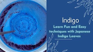 Indigo Aeration Extraction A Journey from Plant to Pigment [upl. by Ferdinanda]