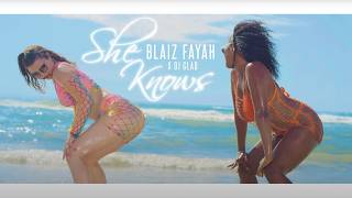 Blaiz Fayah x Dj Glad  She Knows Official Video [upl. by Jarrett640]