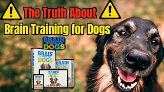 BRAIN TRAINING FOR DOGS  Adrienne farricelli Brain Training for Dogs Review [upl. by Eisse]