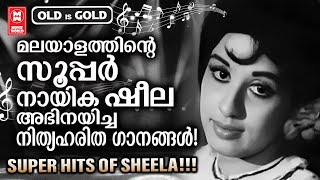 ഏറ്റവും കൂടുതൽ ചിത്രങ്ങളിൽ നായികയായ ഷീലയുടെ നിത്യസുന്ദര ഗാനങ്ങൾ Evergreen Malayalam Film Songs [upl. by Branden]