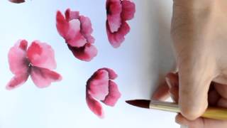 watercolour poppies [upl. by Thirza]