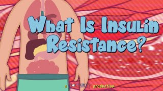 What is Insulin Resistance [upl. by Juliet]