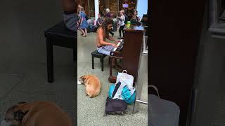 Captivating Homeless Mans Impromptu Piano Performance Mesmerizes Passengers at London Train Station [upl. by Ruffi421]