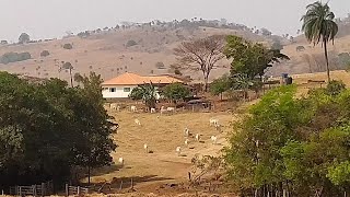 Paisagens em época de seca e Sol na região de cristais Paulista sp [upl. by Arola]