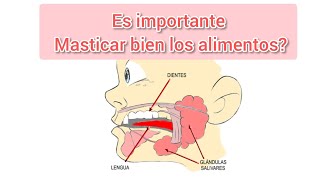 Masticar bien los alimentos es importante 💥 Ana la Nutri [upl. by Shuman]