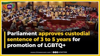 Parliament approves custodial sentence of 3 to 5 years for promotion of LGBTQ [upl. by Ehav254]