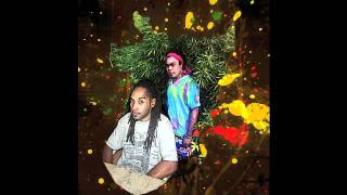 Doshkilla feat Waawinina  On va samuser quotladies nightquot Party town Riddim [upl. by Barnett338]