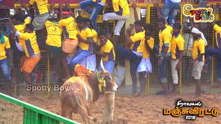 Siravayal Manjuvirattu சிறாவயல் கொம்பில்லா மஞ்சுவிரட்டுFull Video 2018  Jallikattu 2018 [upl. by Arias419]