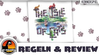 Die Insel der Katzen Regeln amp Rezension deutsch vorbestellbar bei Skellig Games [upl. by Ahsinod]