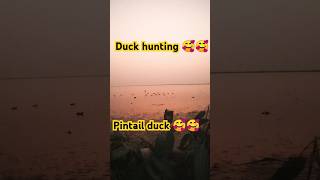 Duck Hunting At Indus River 🤩  Duck hunting season 2024 duckhunting shorts viralvideo [upl. by Toffic]