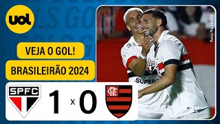 SÃO PAULO 1 X 0 FLAMENGO  BRASILEIRÃO 2024 VEJA O GOL DE CALLERI [upl. by Nura]