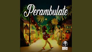 Perambulate [upl. by Airotal]