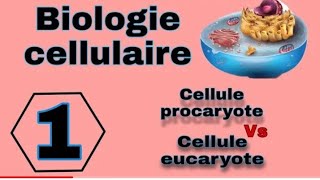 biologie cellulaire s1 svtu la cellule procaryote partie 3 شرح بالعربية والفرنسية [upl. by Yung574]