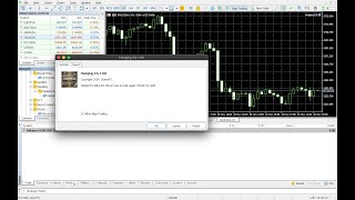 Hedging EA Setup [upl. by Melia494]