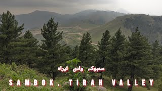 Tirah l Orakzai l Tourism Revival l Sambok Top l Sampog Top l Beautiful Kohat Division tirah [upl. by Jerrylee936]