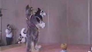 Funny Steele Balto and Jenna fursuit skit [upl. by Keon]