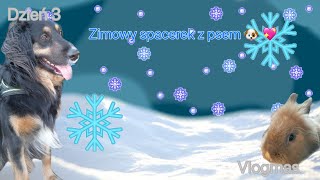 Spacerek z psem  vlogmas 3 [upl. by Morganstein689]