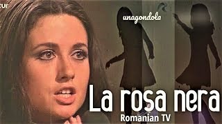 GIGLIOLA CINQUETTI quotLA ROSA NERAquot Cerbul De Aur Special for Romanian TV 1969 ⬇️Testo⬇️Lyrics [upl. by Anerec693]