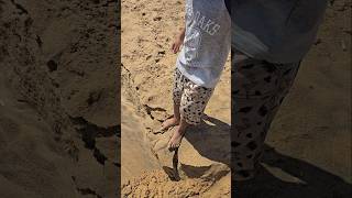 Look at his fun😄😁🌊 මෙයාගේ සතුට බලන්නකෝyoutubeshorts travel youtube beach [upl. by Nodnab]