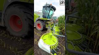 Maize Silage is NO issue for the CLAAS Jaguar 870 Forage Harvester silage2023 [upl. by Key]