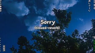 Justin Bieber  Sorry SlowedReverb [upl. by Flowers821]