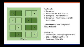 Ecosystem Services of Overseeding Aeschynomene into Bahiagrass Pastures in Florida with Jaime Garzon [upl. by Annehs]