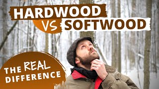 The Actual Difference Between Hardwood and Softwood [upl. by Sebastien453]