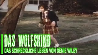 Der Wolf ist zurück  was nun  ARTE Re [upl. by Ayekal]