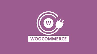 WooCommerce Integration  BPA Platform Connector Tool Overview [upl. by Kathlin145]