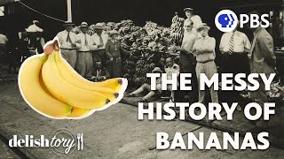 How Did the Banana Become the World’s Most Popular Fruit  Delishtory [upl. by Kavita972]