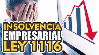 LEY 1116 INSOLVENCIA EMPRESARIAL [upl. by Anelrats]