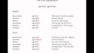 Latin Grammar  First Declension Nouns [upl. by Engis]