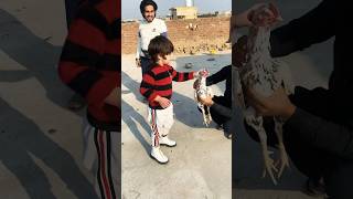 Fun Time Rohan Zohan magic funny travel youtubeshorts shorts shortsfeed umairbasharatvlog [upl. by Yelram322]