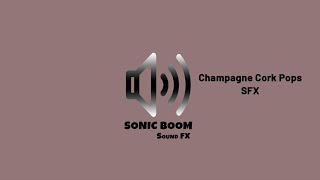 Champagne Cork Pops SFX [upl. by Chicky]