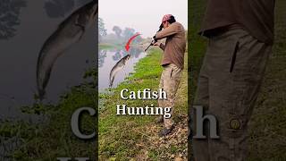 Fish Hunting using Airgun  Wallago Attu Catfish Pathan Fish hunting with Airgun fishing airgun [upl. by Philippine186]