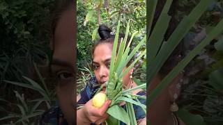 Sunday சும்மா ஒரு garden visit🍀Organic homegarden vlognaturehealthylifestyleshorts [upl. by Atonsah]