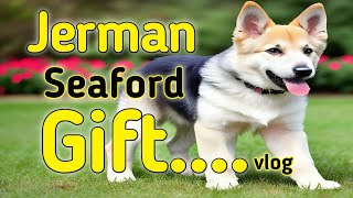 Jerman Seaford Puppy Gift Mila 🥳😳 vlog [upl. by Cantlon]