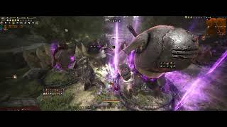 BDO 검은사막 전승 레인저 Succession Ranger 엘비아 귄트 언덕 Elvia Quint Hill 일줌 level1 LS 134331mins [upl. by Yesac]