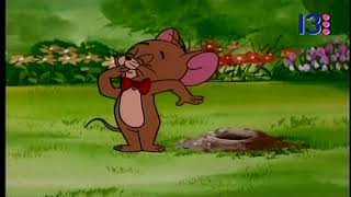 El Show de Tom y Jerry 1975  Son Of Gopher Broke Español Latino  Cierre [upl. by Asseret]