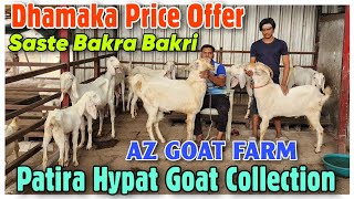 Patira Hypat Female Goat At AZ GOAT FARM  2024 Saste Palne Wale Bakra Bakri In Bhiwandi [upl. by Albarran]