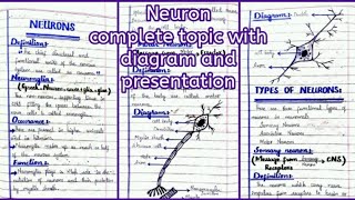 Neurons Structure And FunctionsNeuron structureNeuron anatomyampFunctionNeurology [upl. by Naras]