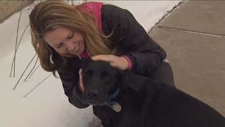 Dog alerts police officer helps save owners life [upl. by Pillihpnhoj]