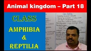 Class Amphibia amp Reptilia  Animal Kingdom  NEET Bio  Part 18 [upl. by Eerak]