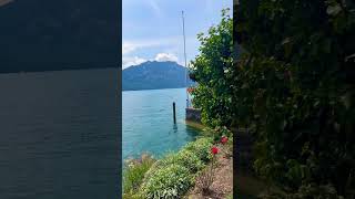 Beautiful Weggis Switzerland 🇨🇭 shorts travel beautiful switzerland shortvideo [upl. by Salangi941]