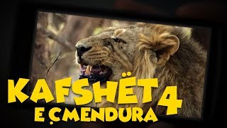 Kafshët e Çmendura  E4 [upl. by Ocicnarf]