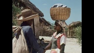 GOUVERNEURS DE LA ROSÉE Film Haitien [upl. by Noraed844]