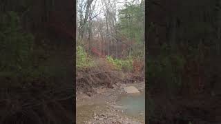 Would You Camp Here dispersedcamping camping ozarktrail ozarkmountains jeep4x4 jeep offroad [upl. by Akinwahs]