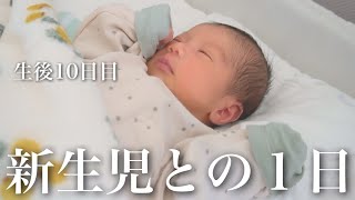 【生後10日目】新生児との１日｜里帰りなし｜年子育児｜1歳6ヶ月差【密着】 [upl. by Ilona]